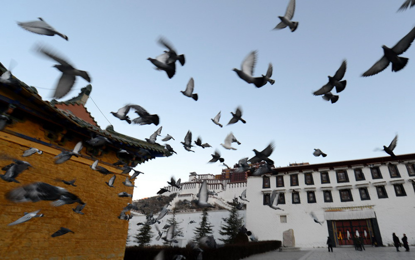 ???? ??? ??, 10? ?? ??? ?? ??