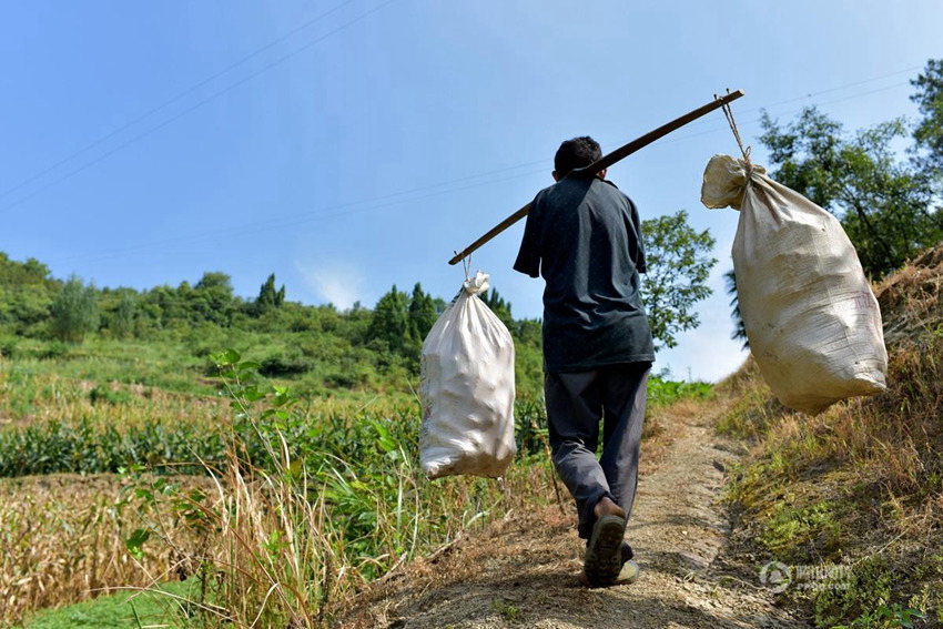 ? ?? ? ??? ?? ??? ??