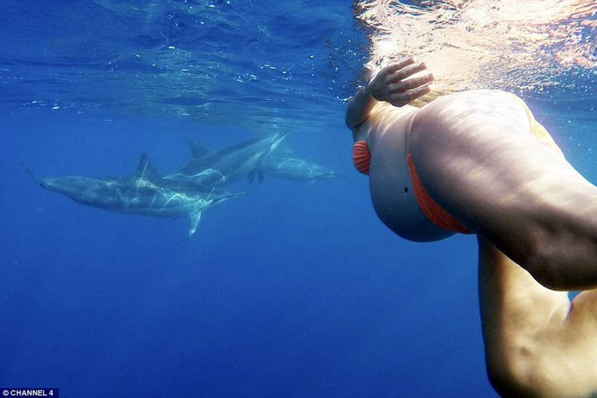 ??? ??? ????, ???? ????