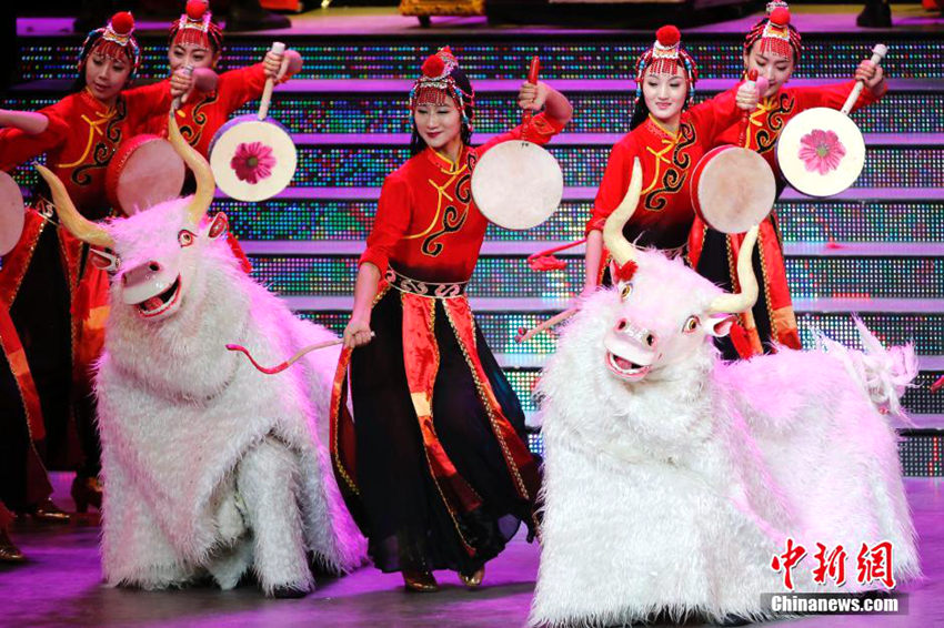 ????? ?? 50?? ????? ??? ??