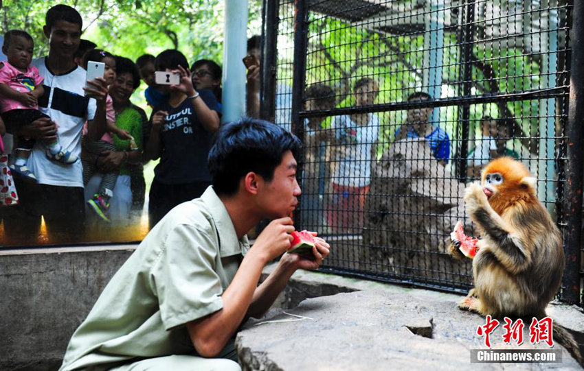 ?? ??? ???, ???? ?? ?? ??? ?? ??