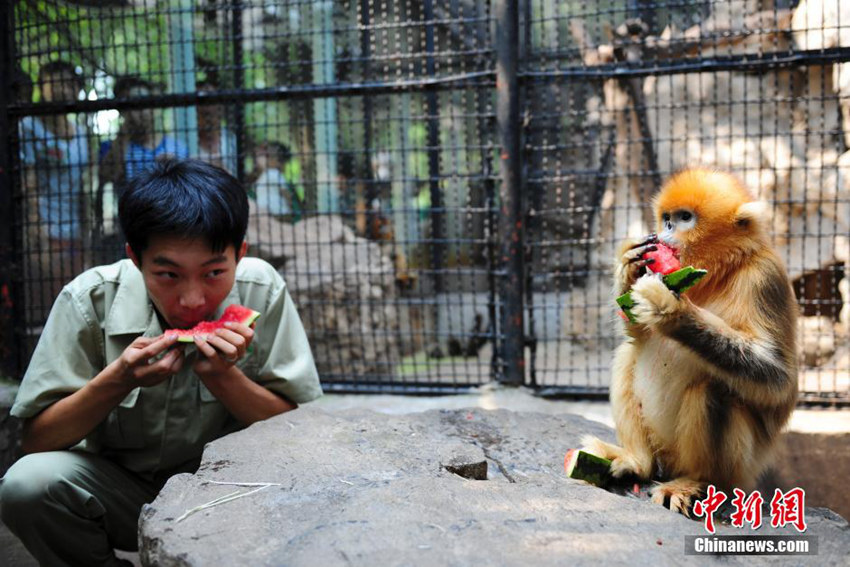 ?? ??? ???, ???? ?? ?? ??? ?? ??