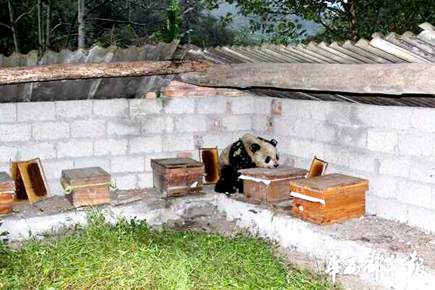 ?? ‘???’ ????, ?? 10? ?? ????