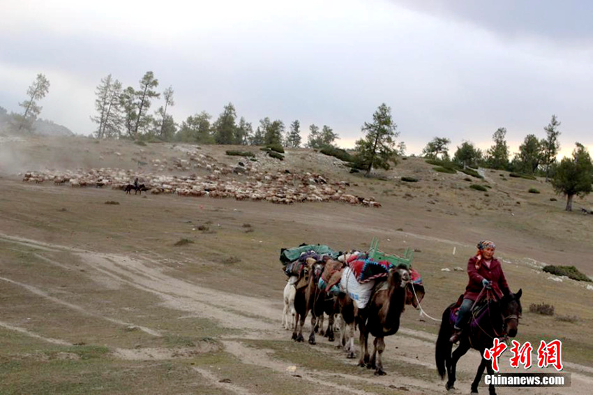 ?? ?? ???? ?? ???, ?? ?? ??