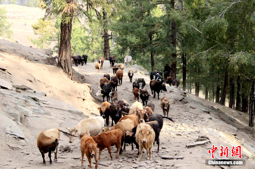 ?? ?? ???? ?? ???, ?? ?? ??