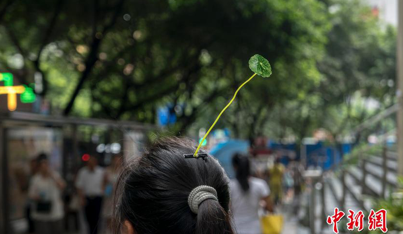 ??? ?? ??? ‘?? ???’ ??? ???