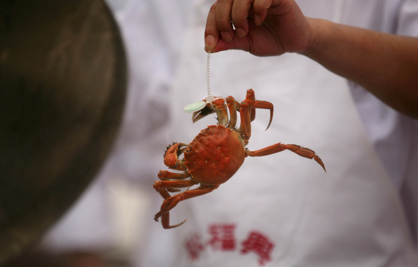 ?? 108?? ? ??, ?? ????? ??