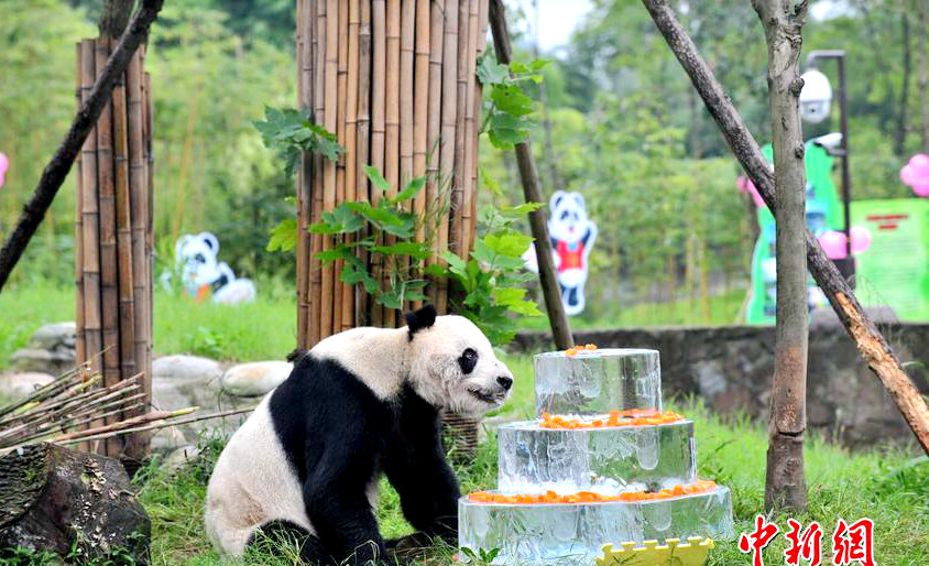 ?? ?? ?? ‘100?’ ?? ??, ??? 100? ??