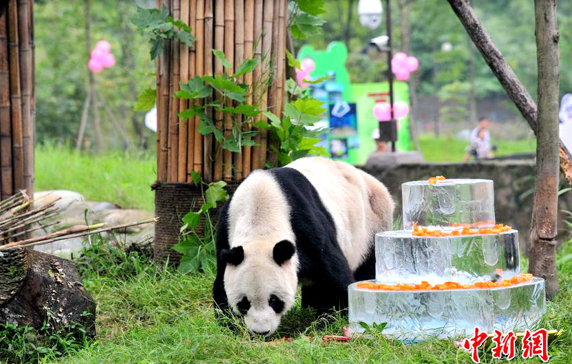 ?? ?? ?? ‘100?’ ?? ??, ??? 100? ??