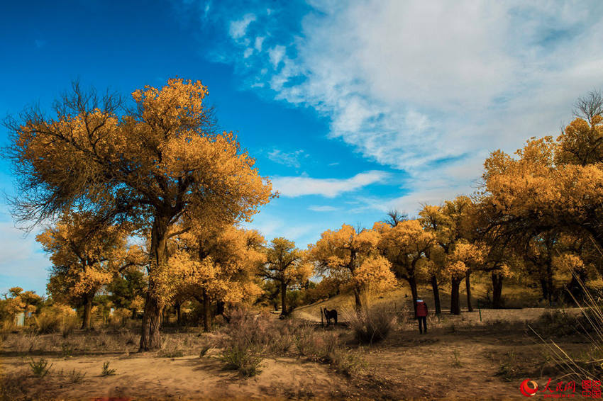 ???? 3000? ??? ??? ???, ??? ??