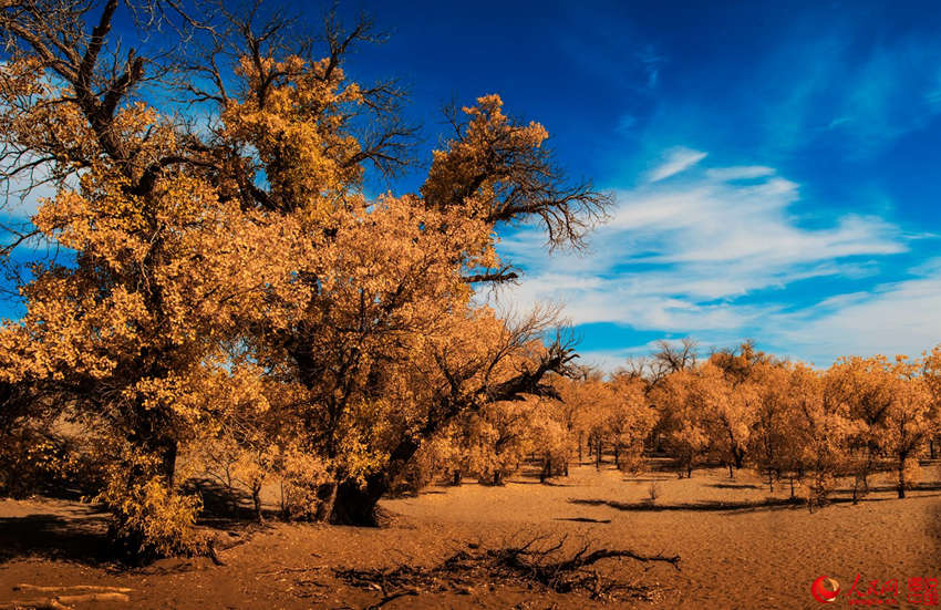 ???? 3000? ??? ??? ???, ??? ??