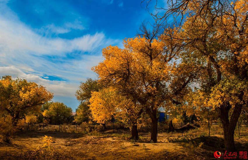 ???? 3000? ??? ??? ???, ??? ??