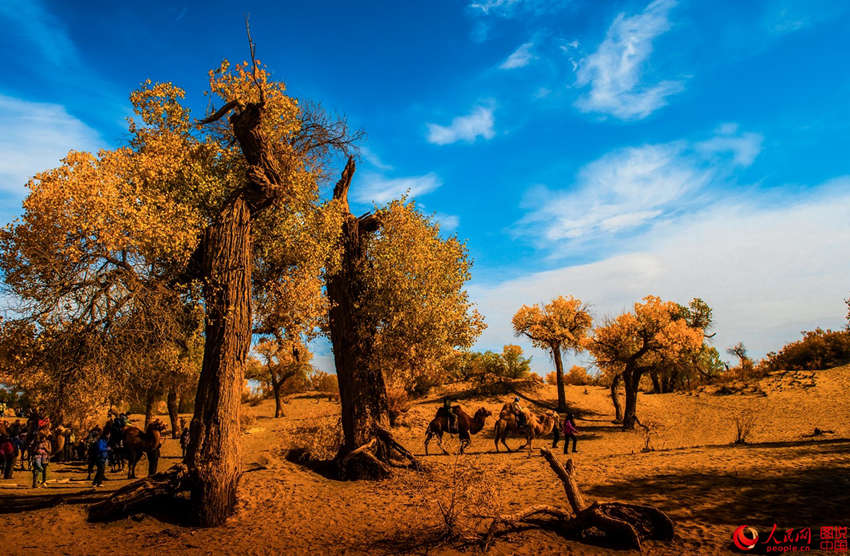 ???? 3000? ??? ??? ???, ??? ??