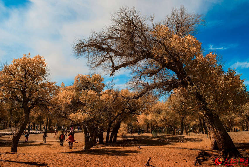 ???? 3000? ??? ??? ???, ??? ??