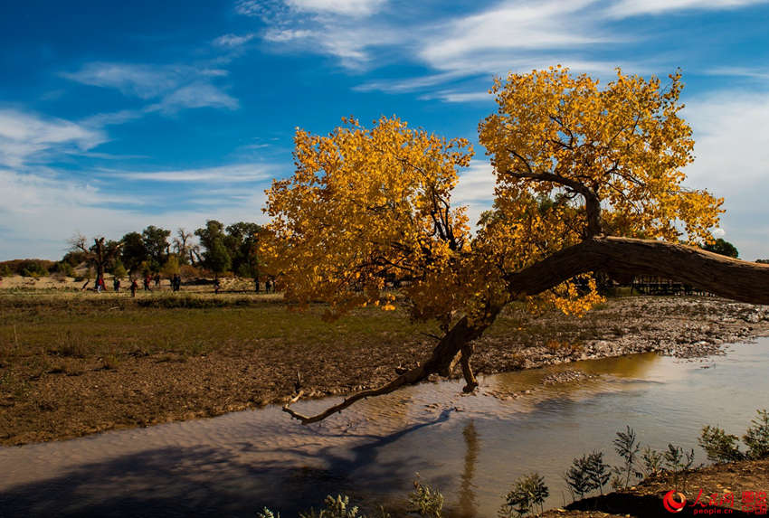 ???? 3000? ??? ??? ???, ??? ??