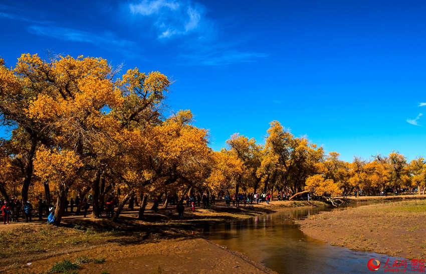 ???? 3000? ??? ??? ???, ??? ??