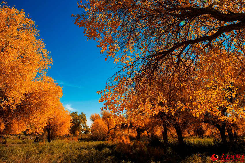 ???? 3000? ??? ??? ???, ??? ??