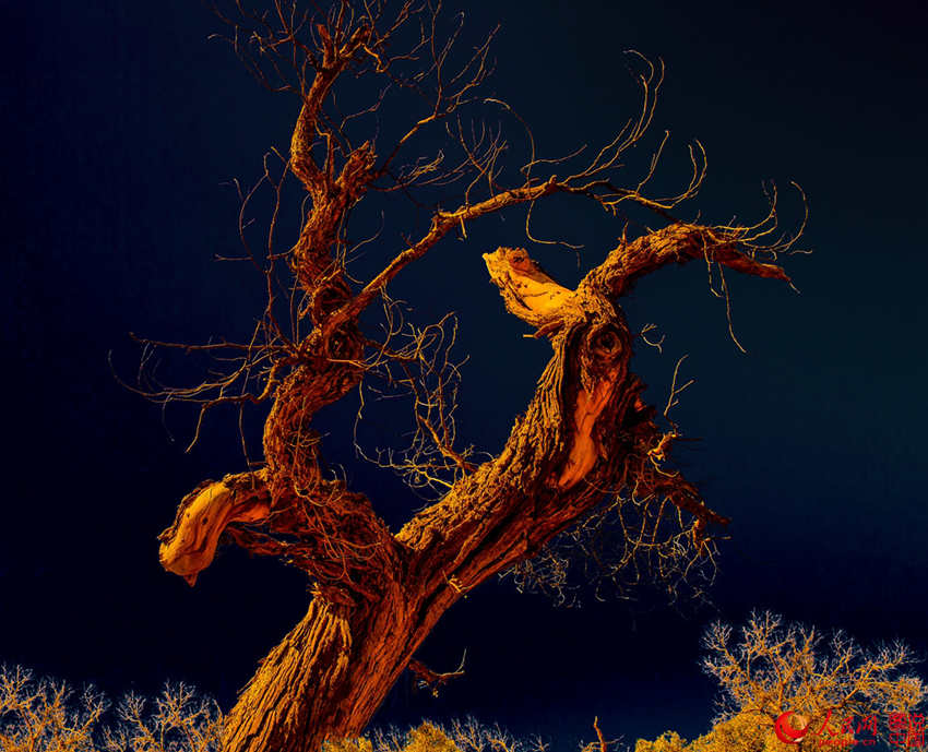 ???? 3000? ??? ??? ???, ??? ??