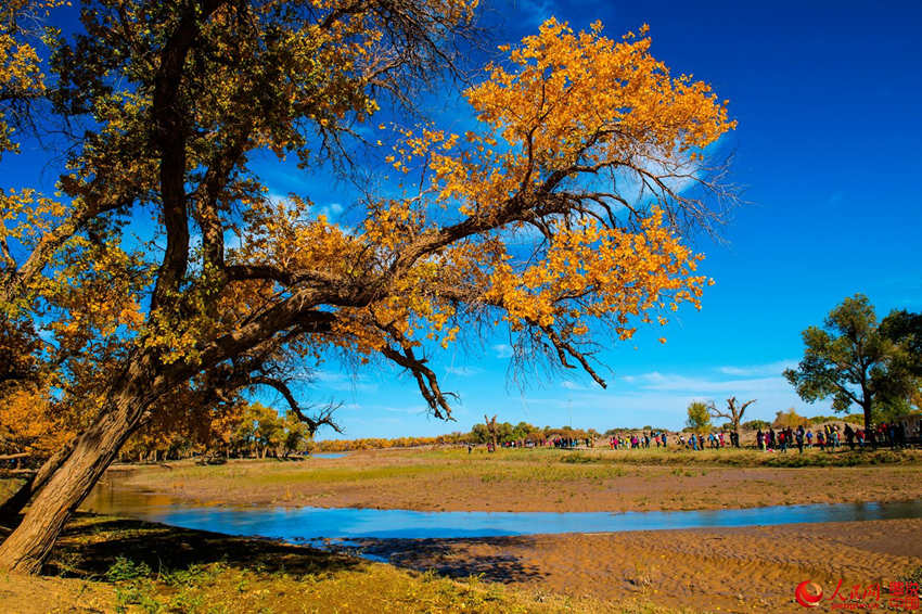 ???? 3000? ??? ??? ???, ??? ??