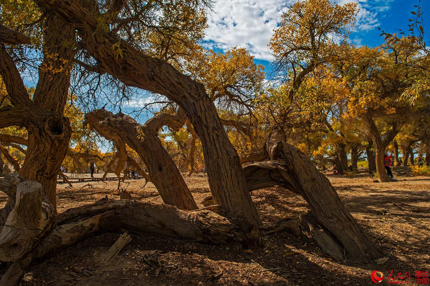 ???? 3000? ??? ??? ???, ??? ??