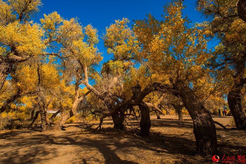 ???? 3000? ??? ??? ???, ??? ??