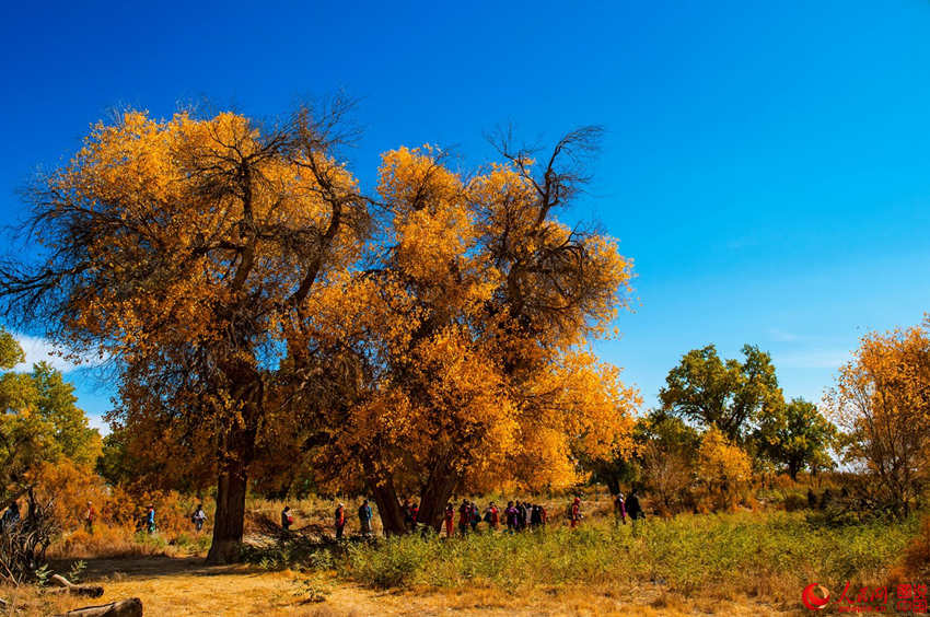 ???? 3000? ??? ??? ???, ??? ??