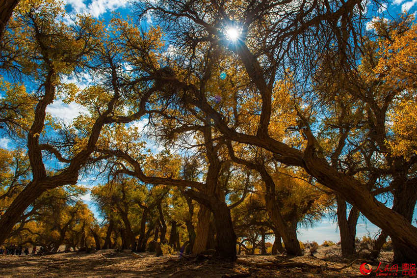 ???? 3000? ??? ??? ???, ??? ??