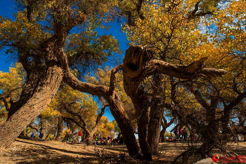 ???? 3000? ??? ??? ???, ??? ??