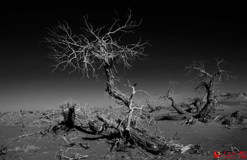 ???? 3000? ??? ??? ???, ??? ??