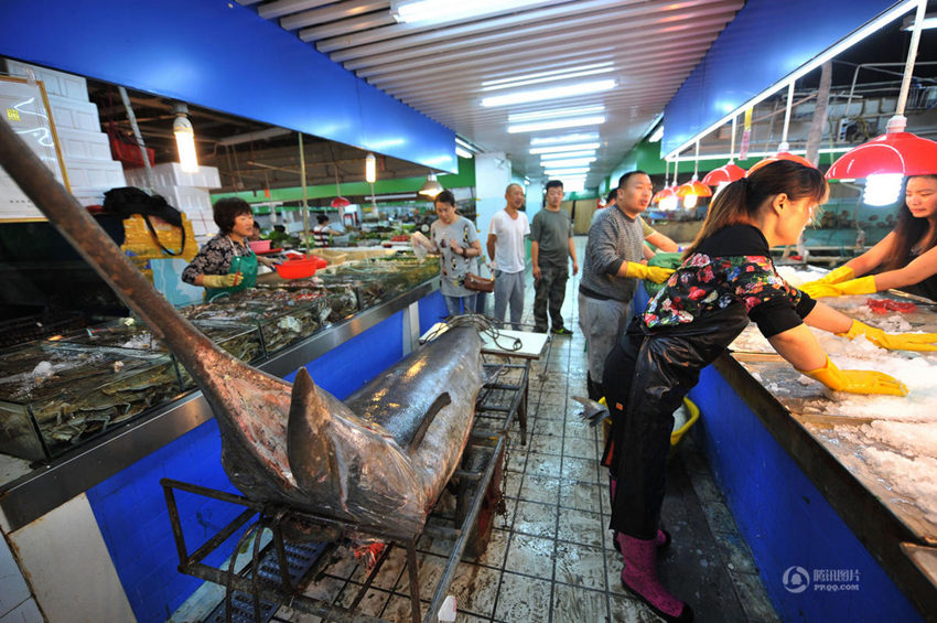 ??? ?? ??? ? ??, 345kg ??? ??? ??