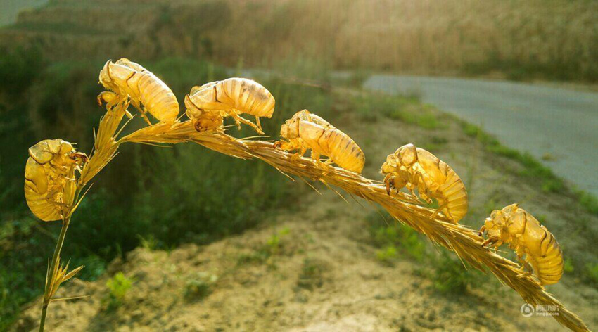 ?? ?? ?? ????, ????? ?? ??