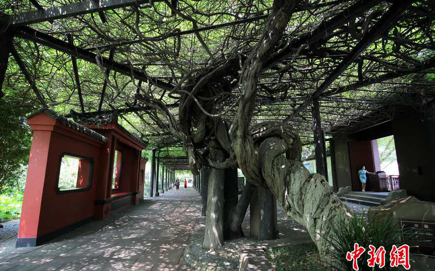 100? ? ??? 100m ?? ???, ??? ?? 500?