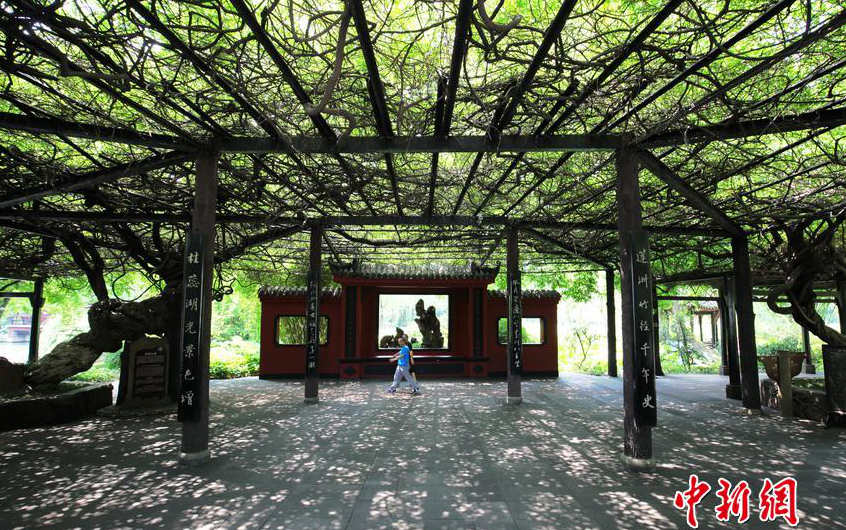 100? ? ??? 100m ?? ???, ??? ?? 500?