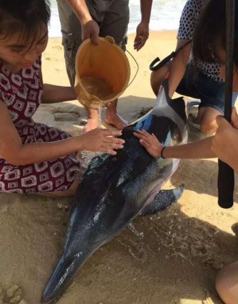 ??? ??, ?? ???? ? ???? ??? ??