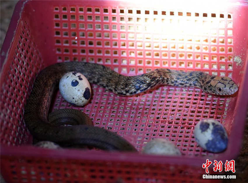 40? ??? ?? ??, ? ???? ???? ??