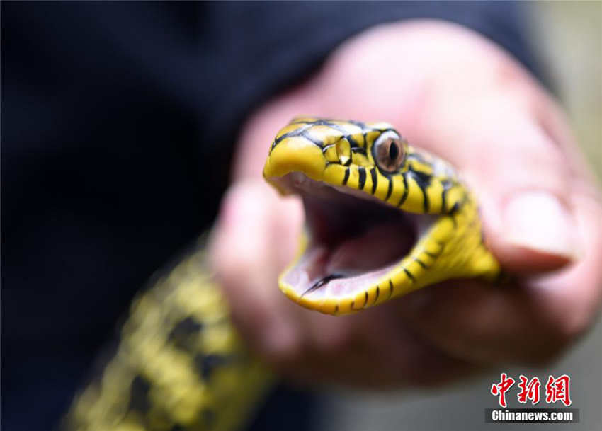 40? ??? ?? ??, ? ???? ???? ??