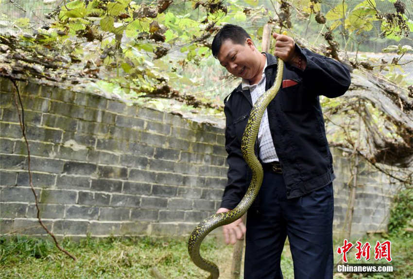 40? ??? ?? ??, ? ???? ???? ??