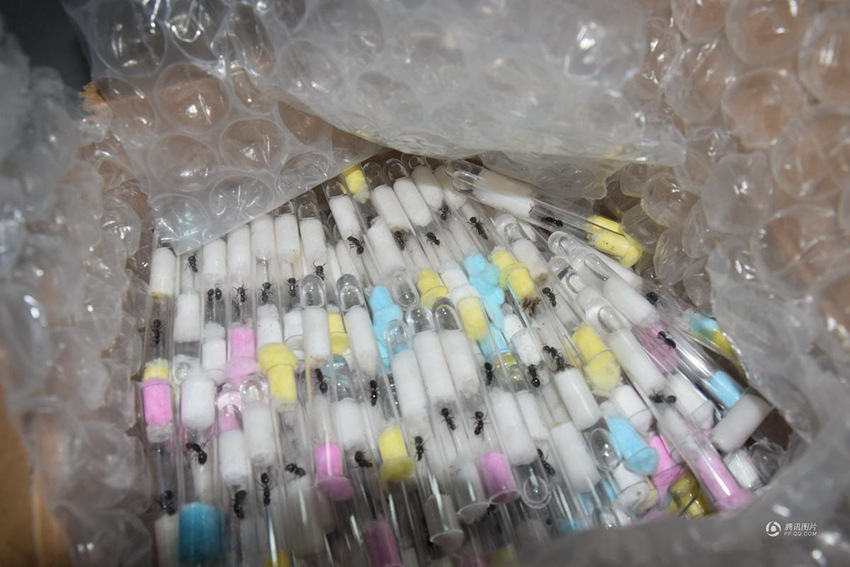 ???? ?? 800?? ?? ??? ??