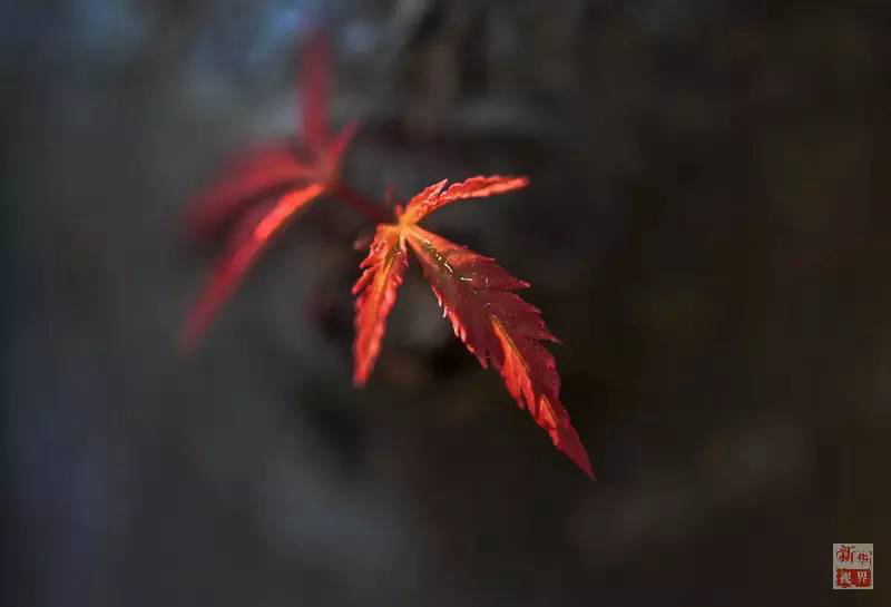 ?? ?? ??? ??? ???? ?? ??