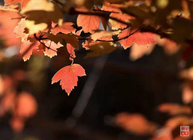 ?? ?? ??? ??? ???? ?? ??