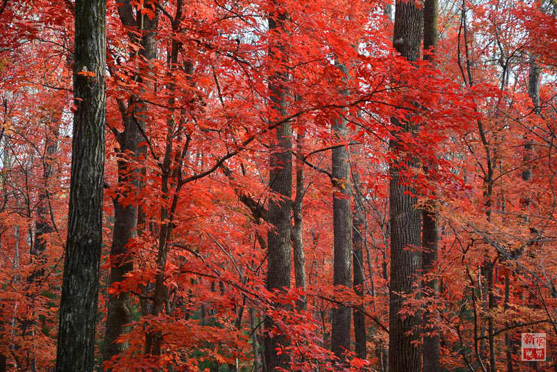 ?? ?? ??? ??? ???? ?? ??