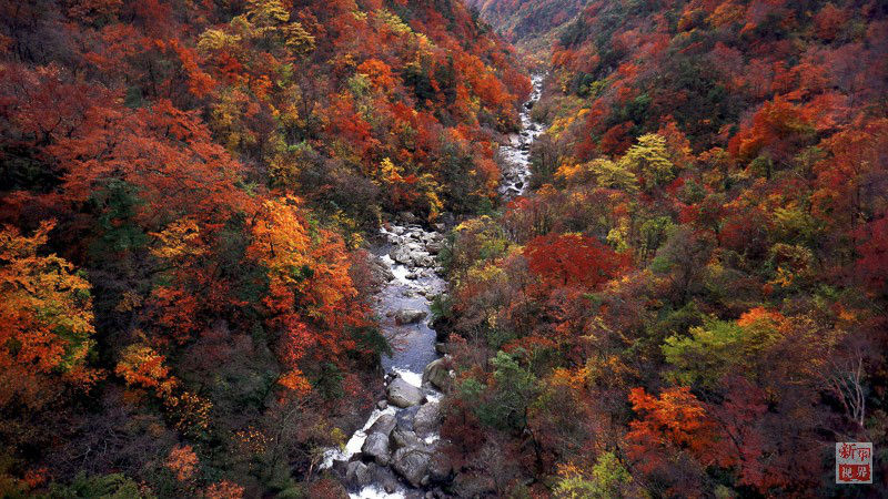 ?? ?? ??? ??? ???? ?? ??