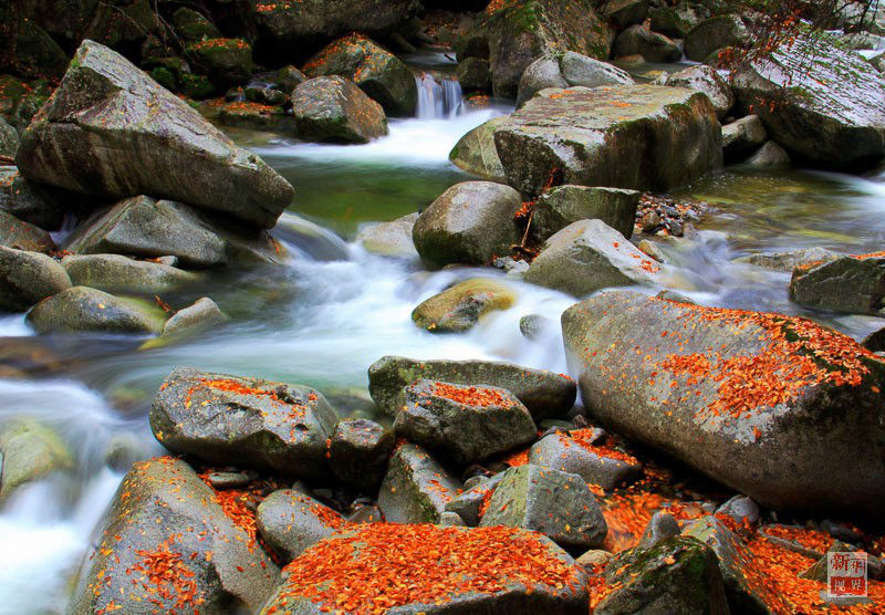 ?? ?? ??? ??? ???? ?? ??