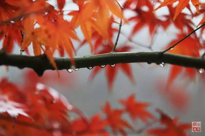 ?? ?? ??? ??? ???? ?? ??