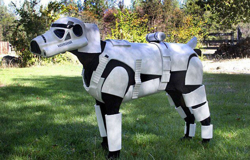 ???? ???? ??? ?, ‘?? ??’