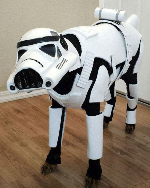 ???? ???? ??? ?, ‘?? ??’