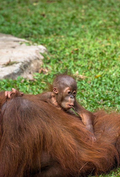 ?? ???! ?? ?? ?? ??? ?? ????