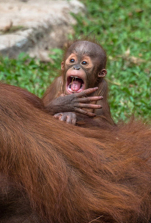 ?? ???! ?? ?? ?? ??? ?? ????