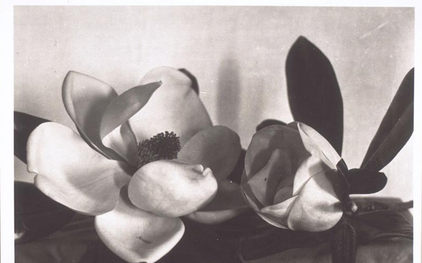 ???? ????! 100? ? ???? ???