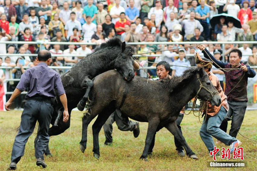 ?? ?? ??? ??, ?? ??? ? ???? ??